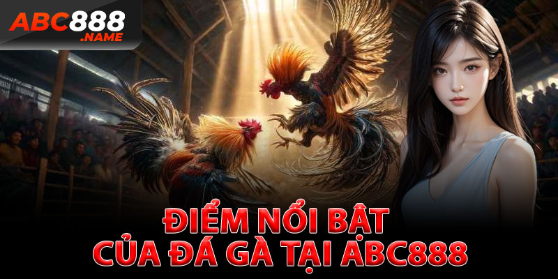 Điểm Nổi Bật Của Đá Gà Tại ABC888